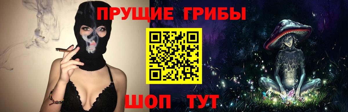 Щёлково  что такое   Вход с VPN  Галлюциногенные грибы мицелий  Псилоцибиновые грибы ЛСД 