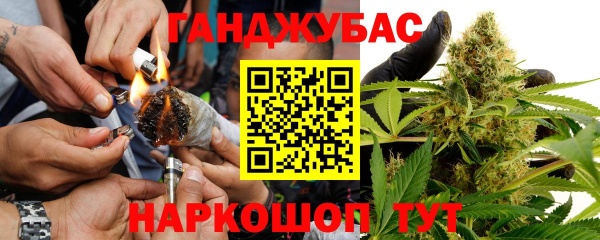 Конопля сатива  Вход с VPN  МАРИХУАНА AK-47  Щёлково  Бошки марихуана планчик 